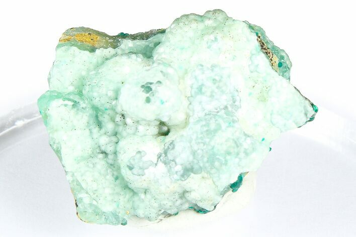 Sparkling Vibrant Blue Botryoidal Smithsonite - Congo-Brazzaville #368234